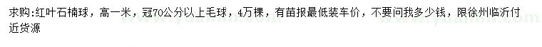 求購高1米紅葉石楠球