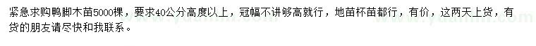 求購高40公分以上鴨腳木苗