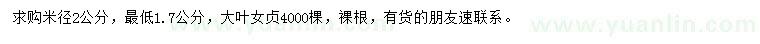 求購米徑2公分大葉女貞