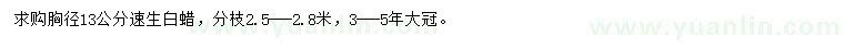求購胸徑13公分速生白蠟