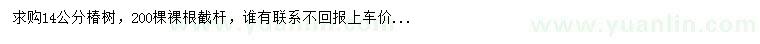 求購14公分椿樹