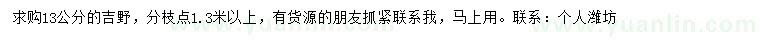 求購(gòu)13公分吉野櫻