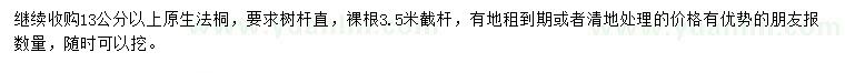 求購13公分以上原生法桐