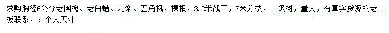 求購(gòu)胸徑6公分老國(guó)槐、老白蠟、北欒等