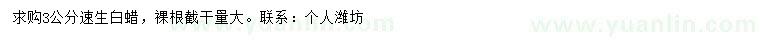 求購3公分速生白蠟