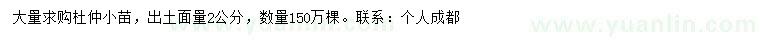 求購出土面量2公分杜仲小苗