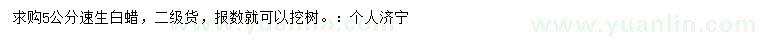 求購5公分速生白蠟
