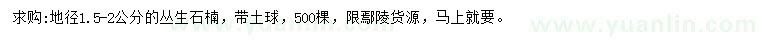求購地徑1.5-2公分叢生石楠