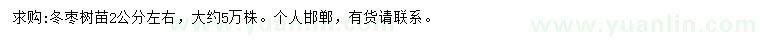 求購2公分冬棗苗