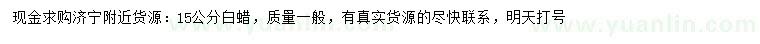 求購15公分白蠟