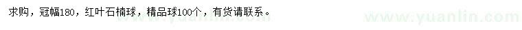求購冠幅180公分紅葉石楠球