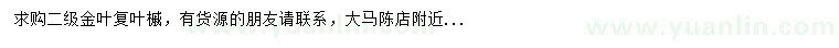 求購金葉復葉槭