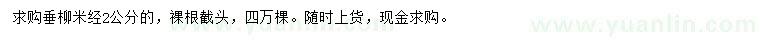 求購米徑2公分垂柳