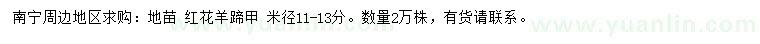 求購米徑11-13公分紅花羊蹄甲