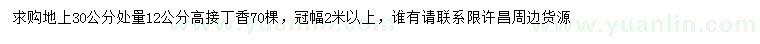 求購地上30公分量12公分高接丁香