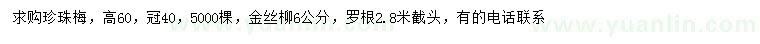 求購高60公分珍珠梅