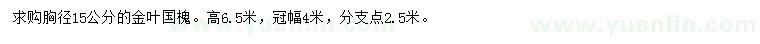 求購胸徑15公分金葉國槐