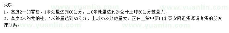 求購高2米署檜、龍柏柱