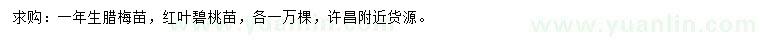 求購一年生臘梅苗、紅葉碧桃苗