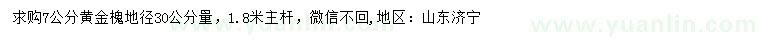 求購地徑30公分量7公分黃金槐