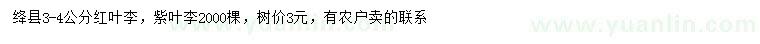 求購3-4公分紅葉李、紫葉李