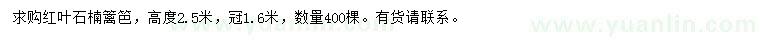 求購(gòu)高2.5米紅葉石楠