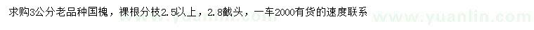 求購3公分老國槐