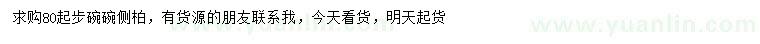 求購80公分起步側(cè)柏