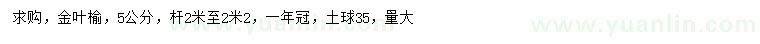 求購5公分金葉榆