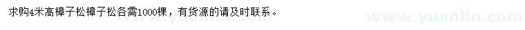 求購(gòu)高4米樟子松