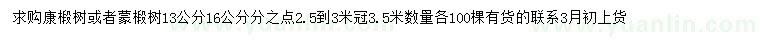 求購13、16公分康椴樹或蒙椴樹
