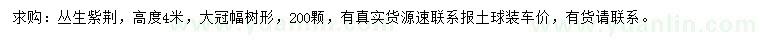 求購高4米叢生紫荊