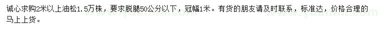 求購(gòu)2米以上油松