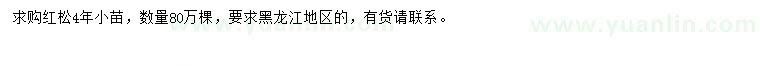 求購(gòu)紅松苗