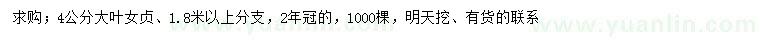求購(gòu)4公分大葉女貞