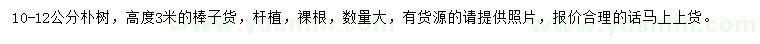 求購(gòu)10-12公分樸樹(shù)