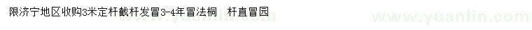 求購3米定桿法桐