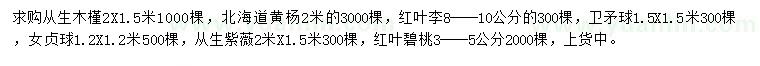 求購從生木槿、北海道黃楊、紅葉李等