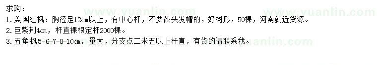求購美國紅楓、巨紫荊、五角楓