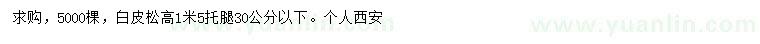 求購(gòu)高1米白皮松