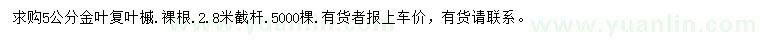 求購5公分金葉復(fù)葉槭