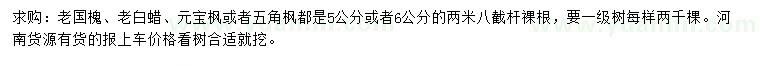 求購5或6公分老國槐、老白蠟、元寶楓等