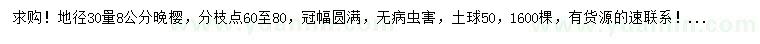 求購地徑30量8公分晚櫻