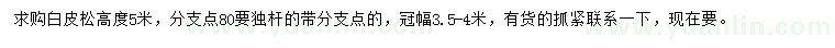 求購高度5米白皮松
