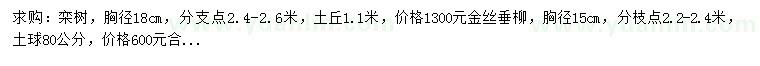 求購胸徑18公分欒樹、胸徑15公分金絲垂柳