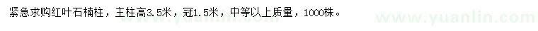 求購高3.5米紅葉石楠柱