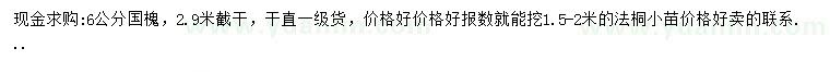 求購6公分國槐