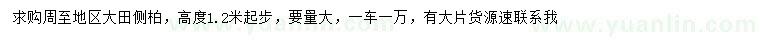 求購(gòu)高1.2米以上側(cè)柏