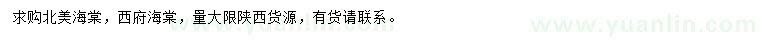 求購北美海棠、西府海棠