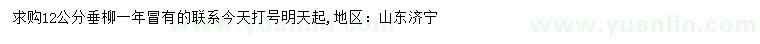 求購12公分垂柳